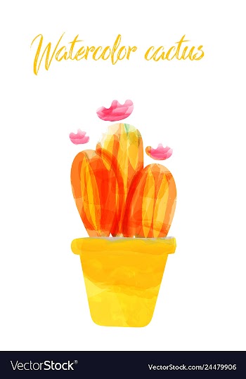 Cactus isolated on white background watercolor vector image