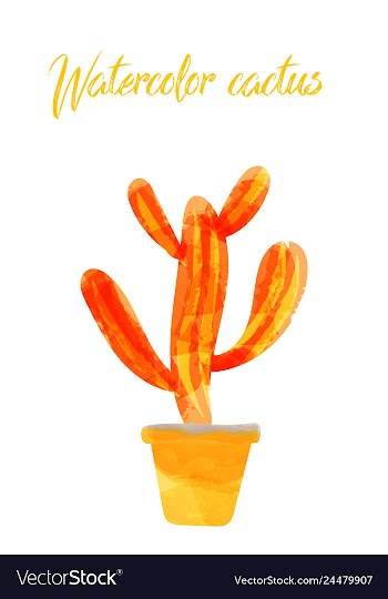 Cactus isolated on white background watercolor vector image