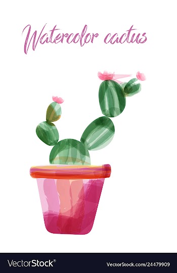 Cactus isolated on white background watercolor vector image