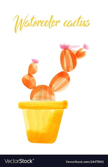 Cactus isolated on white background watercolor vector image