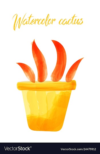 Cactus isolated on white background watercolor vector image