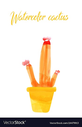 Cactus isolated on white background watercolor vector image