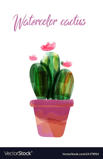 Cactus isolated on white background watercolor vector image
