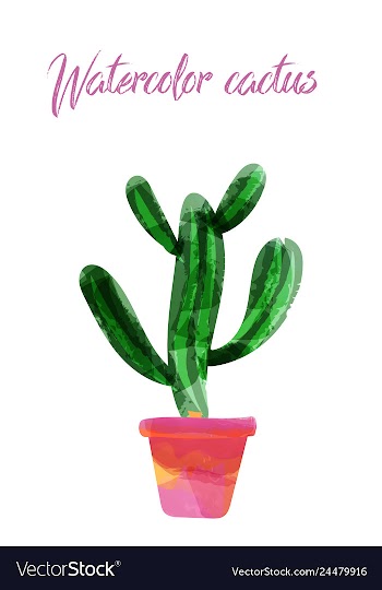 Cactus isolated on white background watercolor vector image