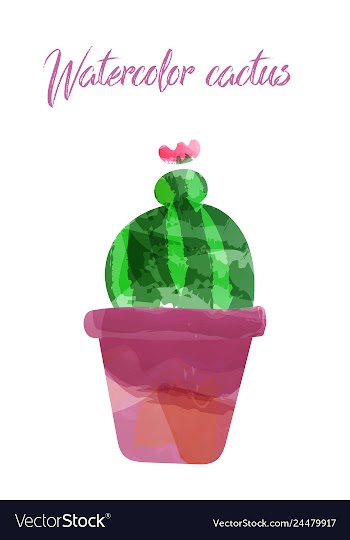 Cactus isolated on white background watercolor vector image