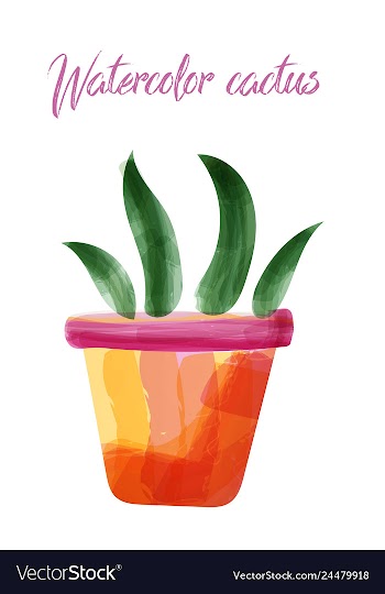 Cactus isolated on white background watercolor vector image