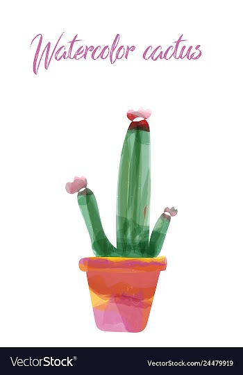 Cactus isolated on white background watercolor vector image