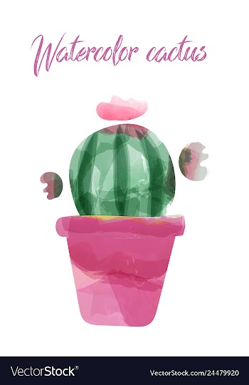 Cactus isolated on white background watercolor vector image