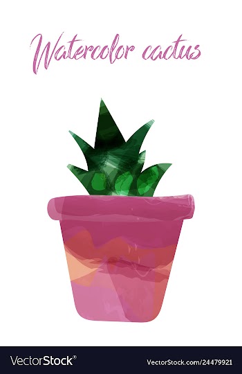 Cactus isolated on white background watercolor vector image