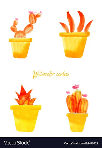 Cactus isolated on white background watercolor vector image