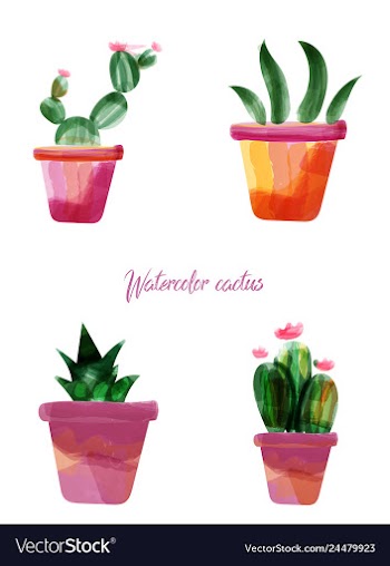 Cactus isolated on white background watercolor vector image