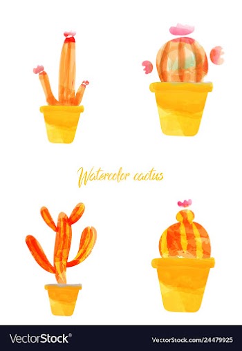 Cactus isolated on white background watercolor vector image