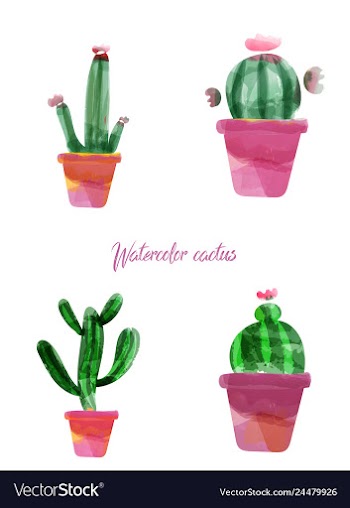 Cactus isolated on white background watercolor vector image