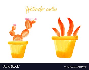 Cactus isolated on white background watercolor vector image