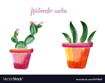 Cactus isolated on white background watercolor vector image