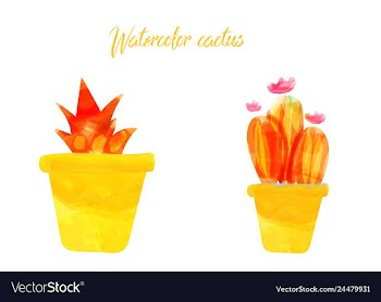 Cactus isolated on white background watercolor vector image