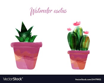 Cactus isolated on white background watercolor vector image