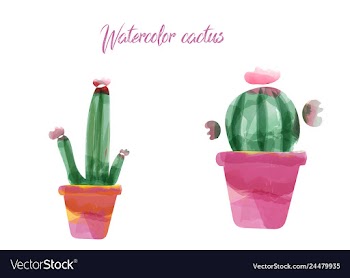 Cactus isolated on white background watercolor vector image