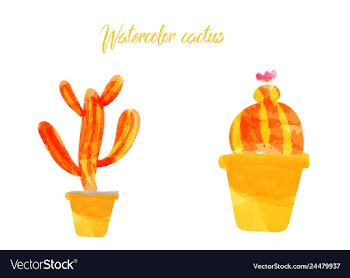 Cactus isolated on white background watercolor vector image