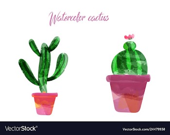 Cactus isolated on white background watercolor vector image