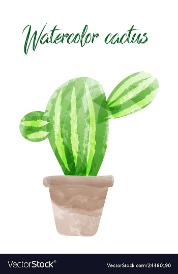 Cactus isolated on white background watercolor vector image