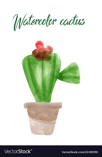 Cactus isolated on white background watercolor vector image