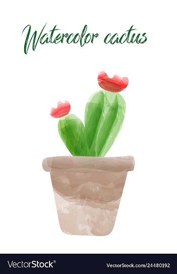 Cactus isolated on white background watercolor vector image