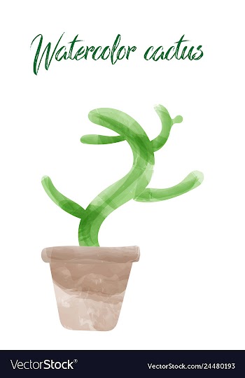Cactus isolated on white background watercolor vector image