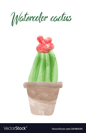 Cactus isolated on white background watercolor vector image