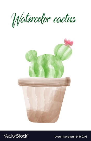 Cactus isolated on white background watercolor vector image