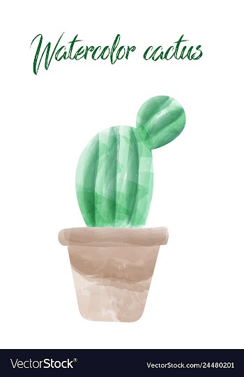 Cactus isolated on white background watercolor vector image