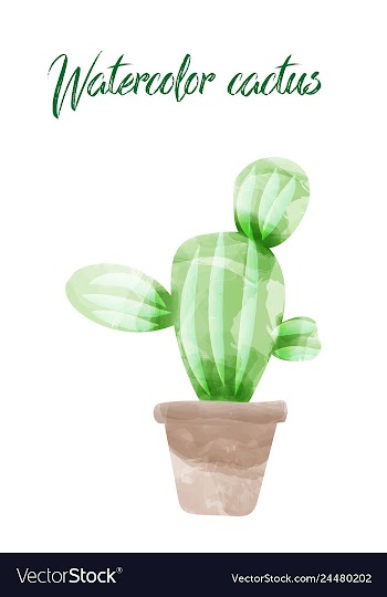 Cactus isolated on white background watercolor vector image