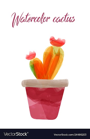 Cactus isolated on white background watercolor vector image