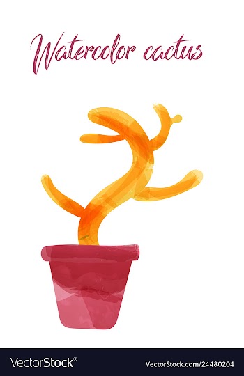Cactus isolated on white background watercolor vector image
