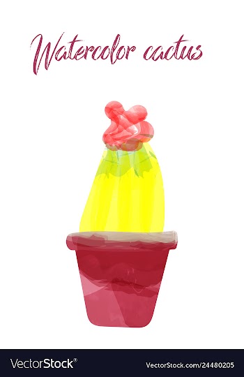 Cactus isolated on white background watercolor vector image