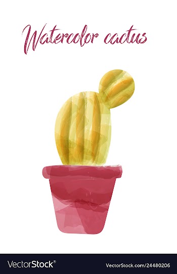 Cactus isolated on white background watercolor vector image