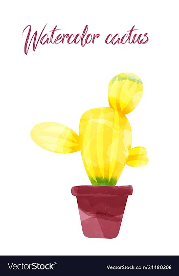 Cactus isolated on white background watercolor vector image