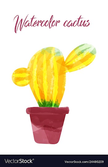 Cactus isolated on white background watercolor vector image