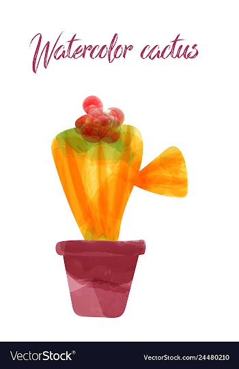 Cactus isolated on white background watercolor vector image