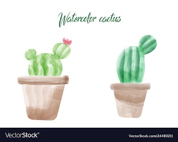 Cactus isolated on white background watercolor vector image