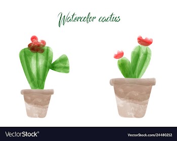Cactus isolated on white background watercolor vector image