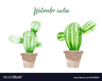 Cactus isolated on white background watercolor vector image