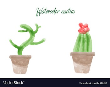 Cactus isolated on white background watercolor vector image