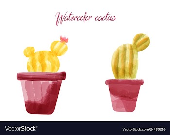 Cactus isolated on white background watercolor vector image