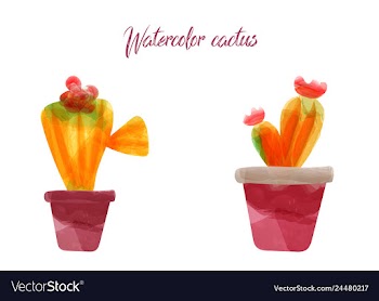 Cactus isolated on white background watercolor vector image