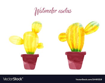 Cactus isolated on white background watercolor vector image