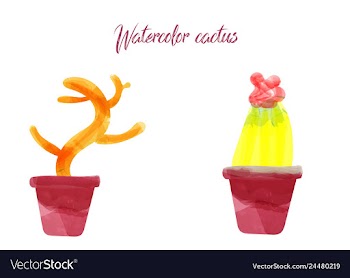 Cactus isolated on white background watercolor vector image