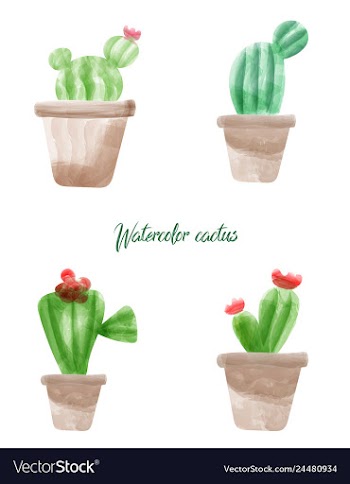 Cactus isolated on white background watercolor vector image