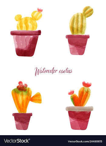 Cactus isolated on white background watercolor vector image