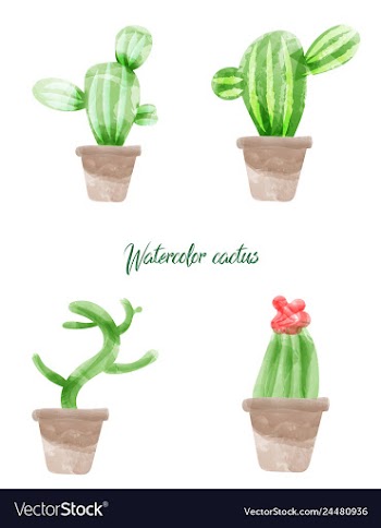 Cactus isolated on white background watercolor vector image
